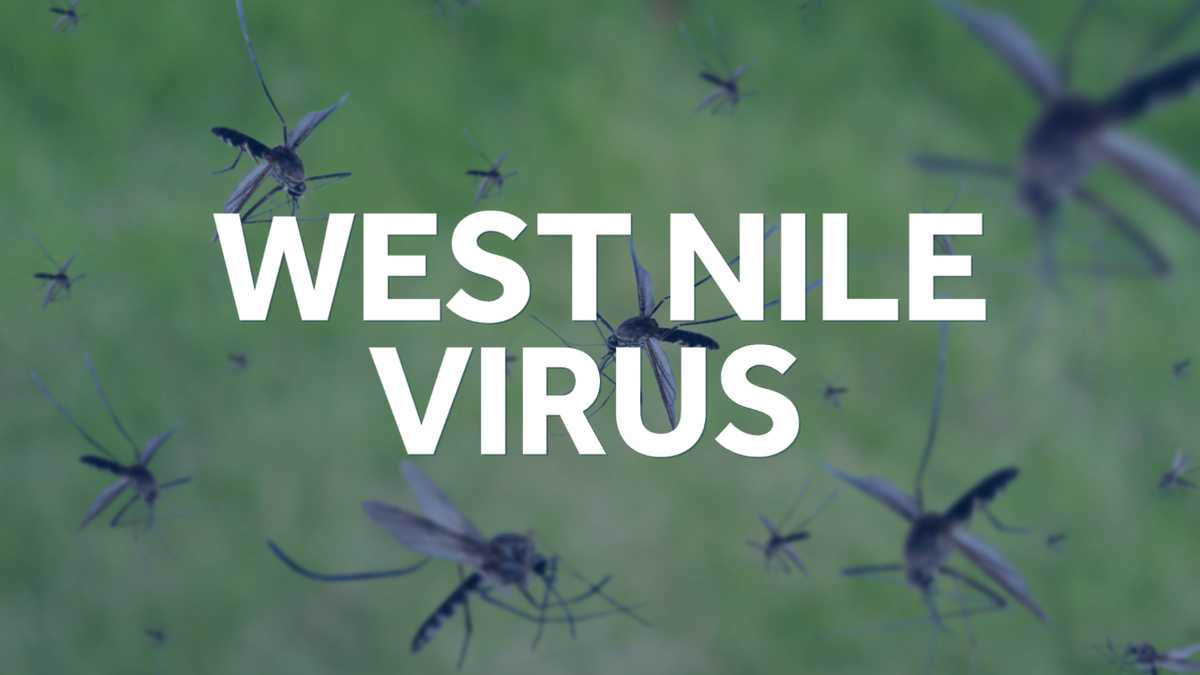 west-nile-virus-mosquito-1629919568