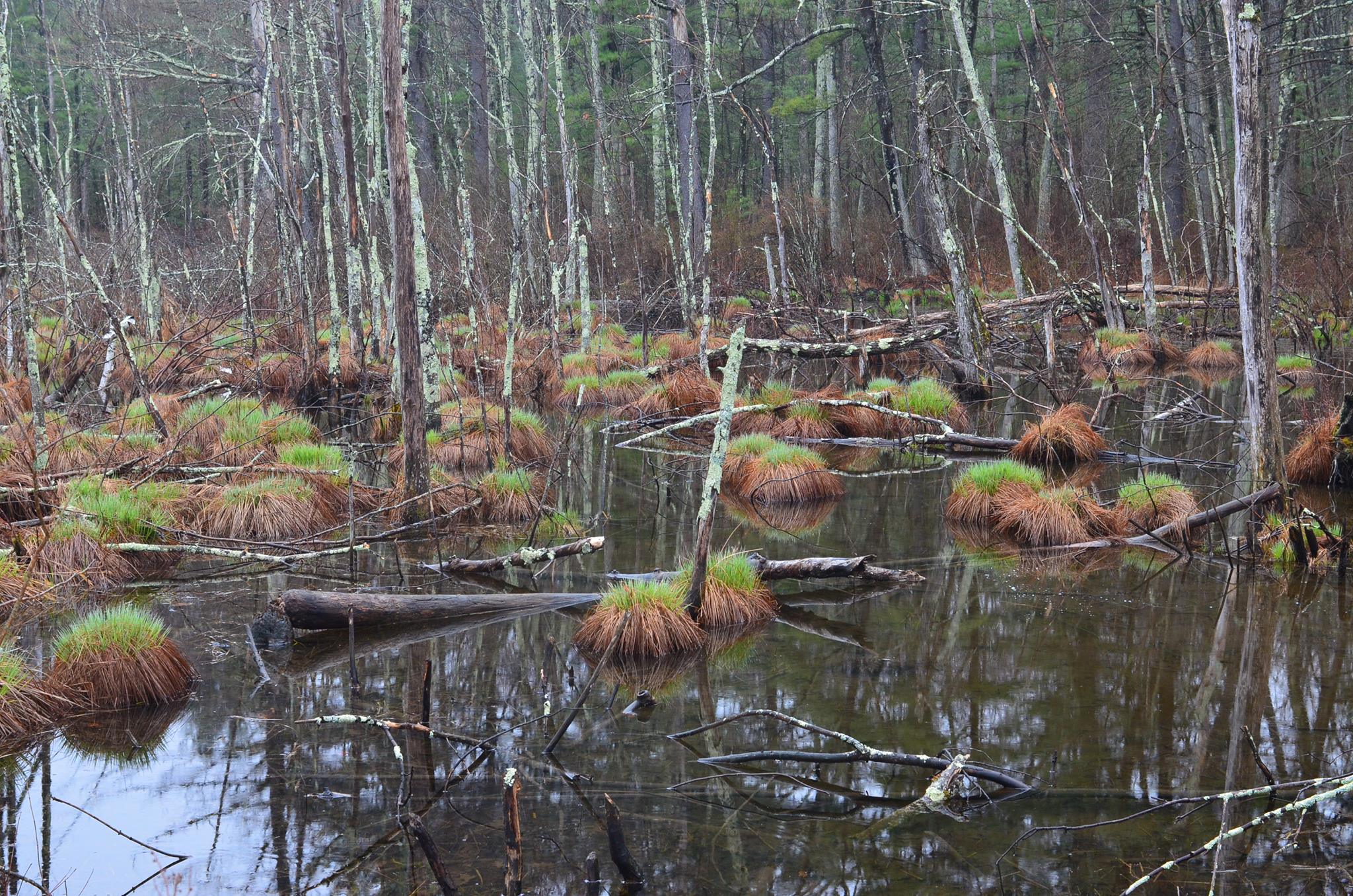 309231971_468401351991871_8944689810829458419_n